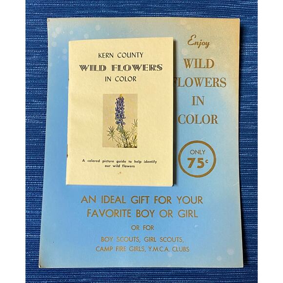 Vtg 1963 Kern County Wild Flowers Bakersfield CA Book Store Display Sign 995A - Picture 1 of 3